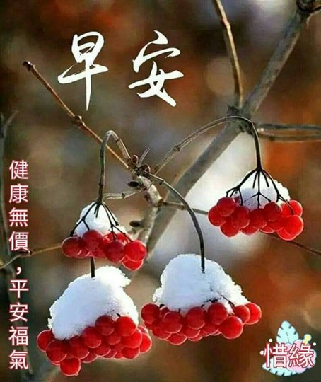 按我可連結至更清楚的圖片